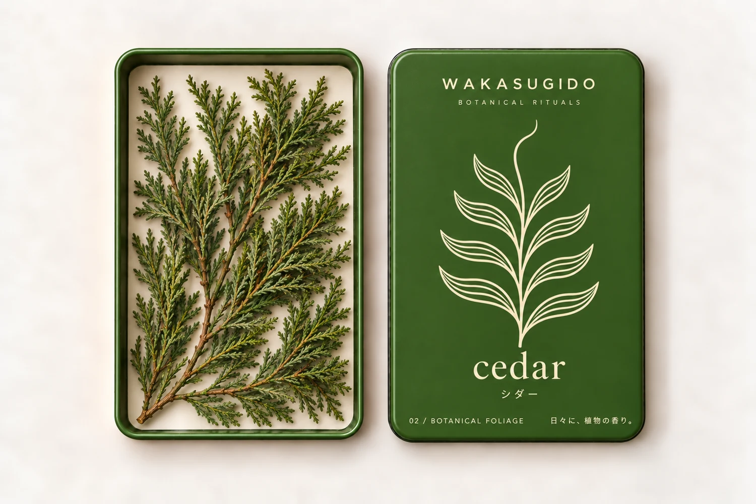 cedar — WAKASUGIDO